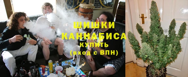 ПСИЛОЦИБИНОВЫЕ ГРИБЫ Ладушкин