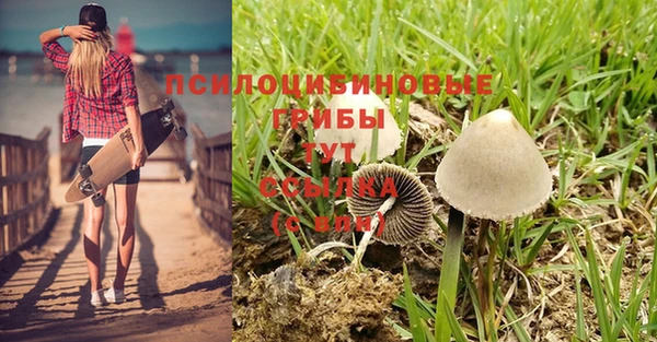 тгк Куйбышев