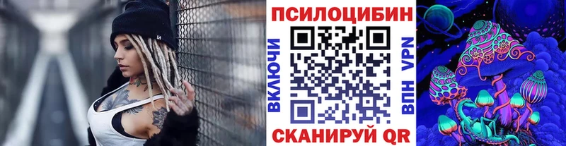 Галлюциногенные грибы Psilocybe Купить где Кораблино